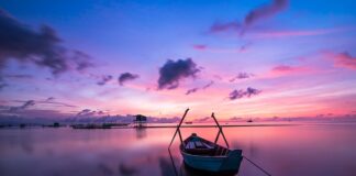 Jaki kolor do kamienia na ścianie?