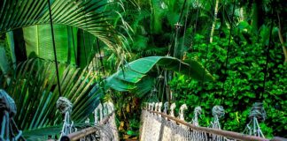 Ile kosztuje kurs glazurnika?