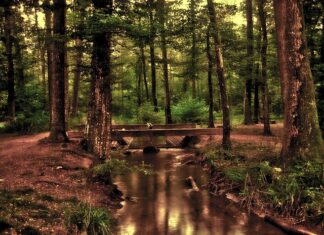 Ile kosztuje przednia szyba? Ile kosztuje przednia szyba?