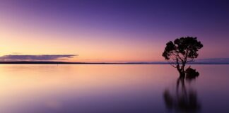 Jak często wymienia się wodę w jacuzzi?