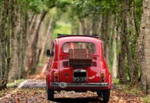 Ile pali fiat doblo maxi? Ile pali fiat doblo maxi?