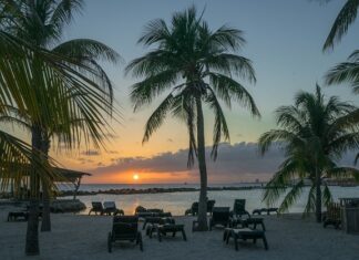 Z czym się pije Blue Curacao?