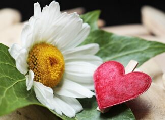 Jak odblokować zacisk hamulcowy? Jak odblokować zacisk hamulcowy?