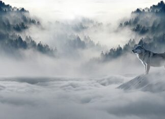 Czy można zaciągać hamulec ręczny zima? Czy można zaciągać hamulec ręczny zima?