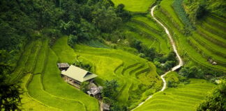 Jaką grubość izolacji fundamentów?