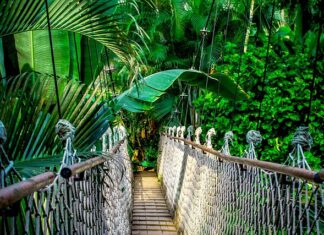 Ile trwa kurs na barmana?