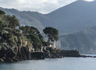 Ile kosztuje wymiana pompy sprzęgła? Ile kosztuje wymiana pompy sprzęgła?