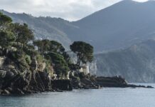 Ile kosztuje wymiana linki ręcznego? Ile kosztuje wymiana linki ręcznego?