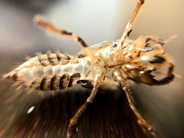 Jak stuka wtrysk? Jak stuka wtrysk?