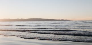 Jak zrobić shoty bez shakera?