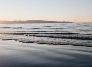 Jak zrobić shoty bez shakera?