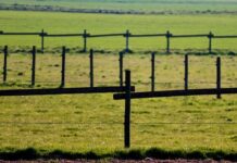 Jaki impregnat do ogrodzeń betonowych?