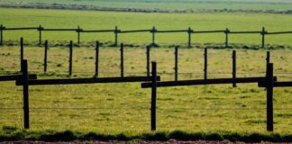 Jaki impregnat do ogrodzeń betonowych?