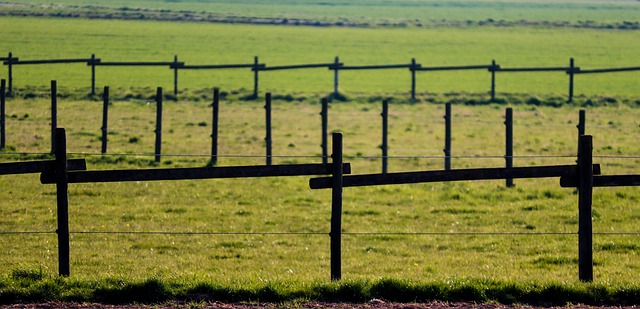Jaki impregnat do ogrodzeń betonowych? Jaki impregnat do ogrodzeń betonowych?