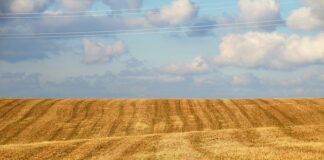 Jak Odsłonić cegłę spod tynku?