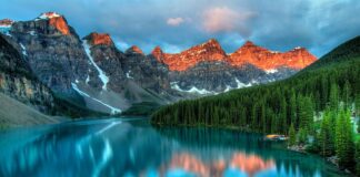 Czym pomalować kamień elewacyjny?