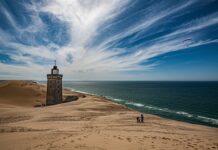 Co to jest kategoria M1?