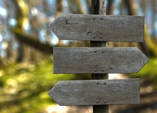 Jaka listwa wtryskiwaczy LPG najlepsza? Jaka listwa wtryskiwaczy LPG najlepsza?