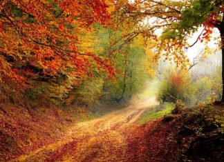 Jaki powinien być spadek pod prysznicem?