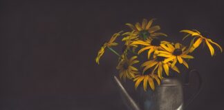 Jak zrobić z butelki plastikowej podlewanie?