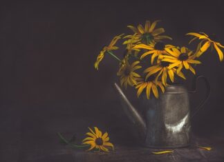 Jak zrobić z butelki plastikowej podlewanie?