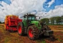 Jaka lina do ciągnika?